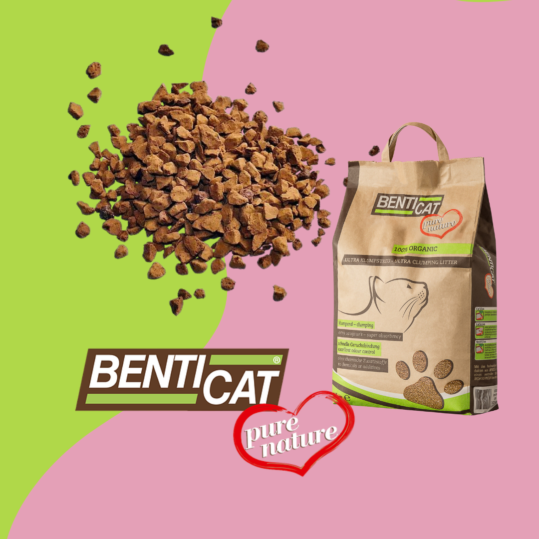Benticat