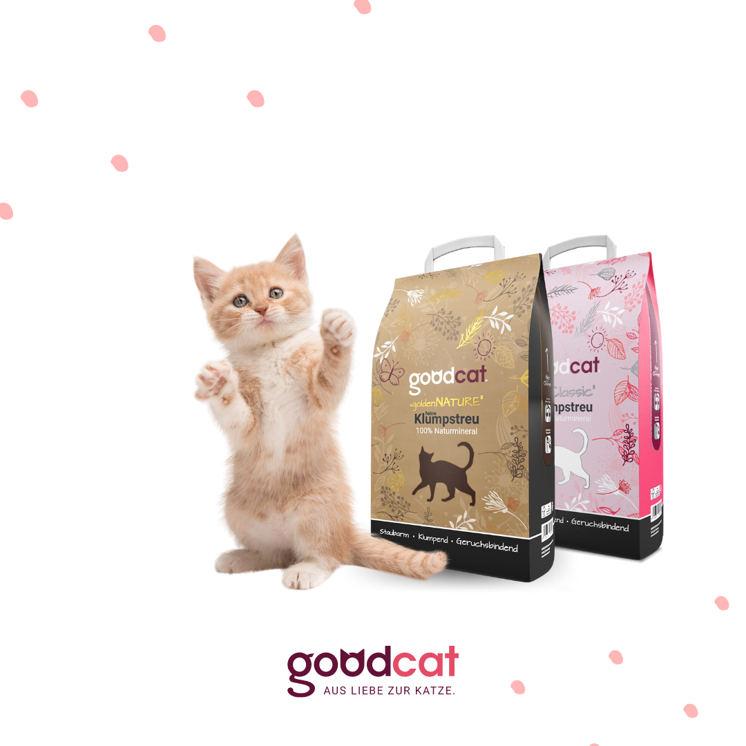 Goodcat 2022