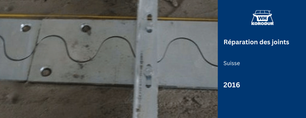 Réparation des joints, Suisse