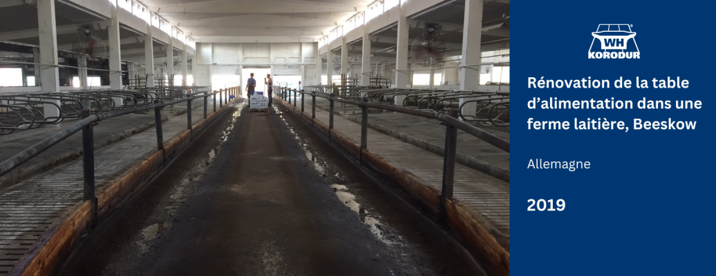 Table d’alimentation dans une ferme laitière, Beeskow